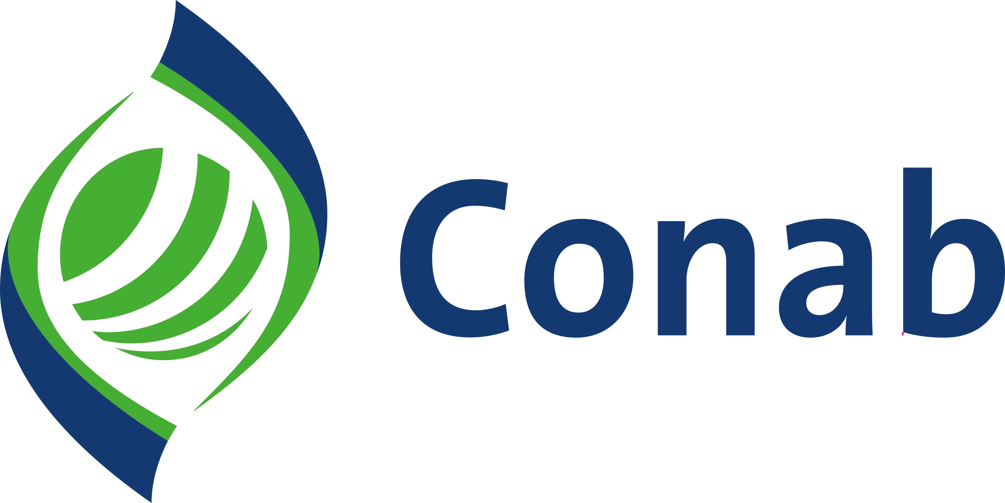 Logo CONAB